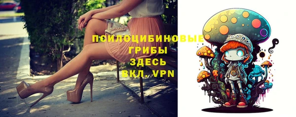твердый Артём